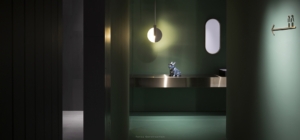 009 卫生间 (1)